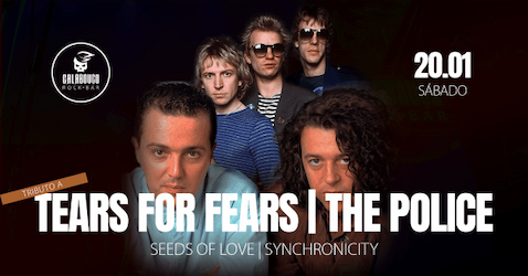 TEARS FOR FEARS - SEEDS OF LOVE + THE POLICE - SYNCHRONICITY