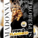 Pink Flamingo | Madonna: Superbowl
