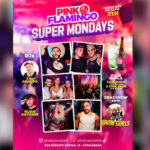 Pink Flamingo | Super Mondays | Show Gurls