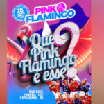 Que Pink Flamingo é esse