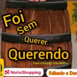 "FOI SEM QUERER, QUERENDO "NO TEATRO MIGUEL FALABELLA