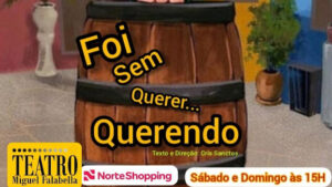 "FOI SEM QUERER, QUERENDO "NO TEATRO MIGUEL FALABELLA