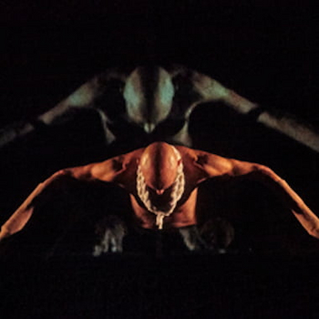 Enquanto Você Voava, Eu Criava Raízes no TEATRO ADOLPHO BLOCH