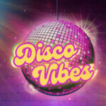 Festa Disco Vibes - 2a Edição