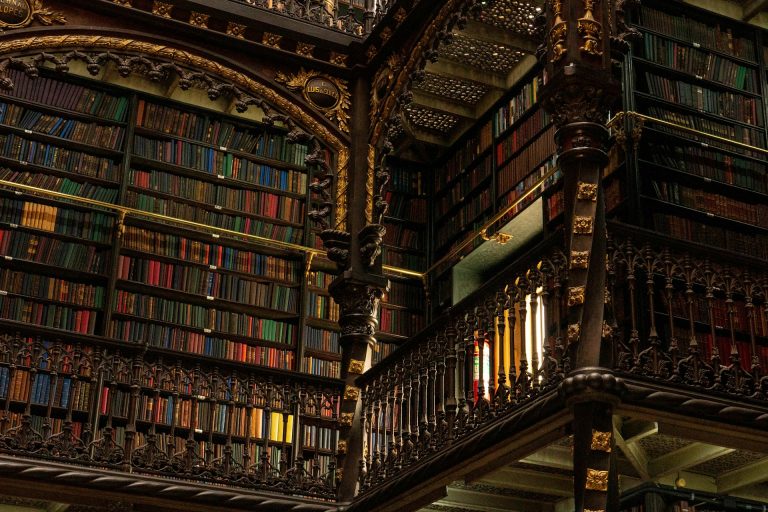 Libraries in Rio de Janeiro: 17 places to read and study